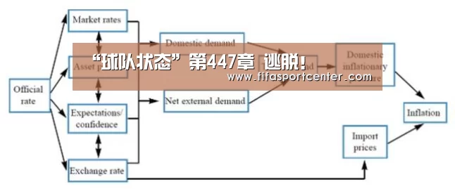 观赛指南
