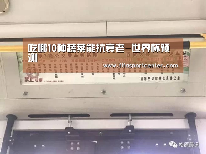 观赛指南