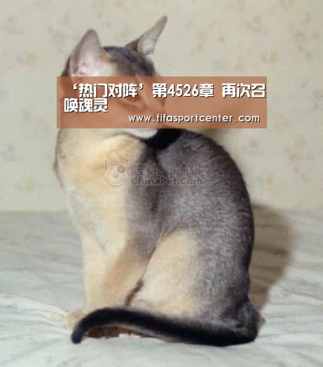 ‘热门对阵’第4526章 再次召唤魂灵(图1) 热门对阵