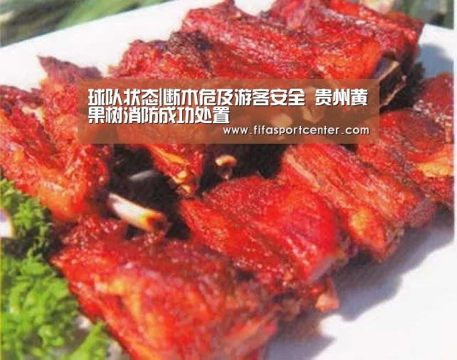 球队状态|断木危及游客安全 贵州黄果树消防成功处置(图1) 世界杯预测