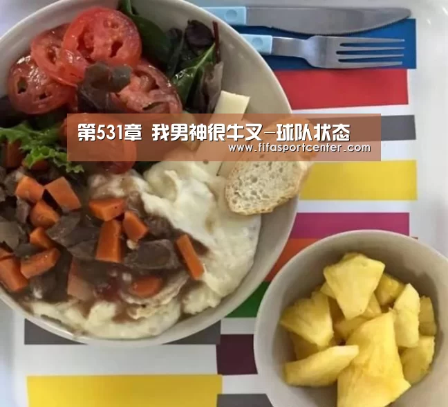 第531章 我男神很牛叉-球队状态(图4) 球队状态