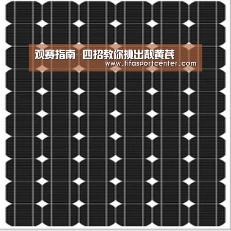 观赛指南-四招教你挑出靓黄芪(图2) 球队状态
