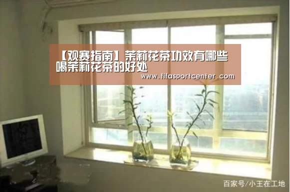 【观赛指南】茉莉花茶功效有哪些 喝茉莉花茶的好处(图3) 世界杯预测